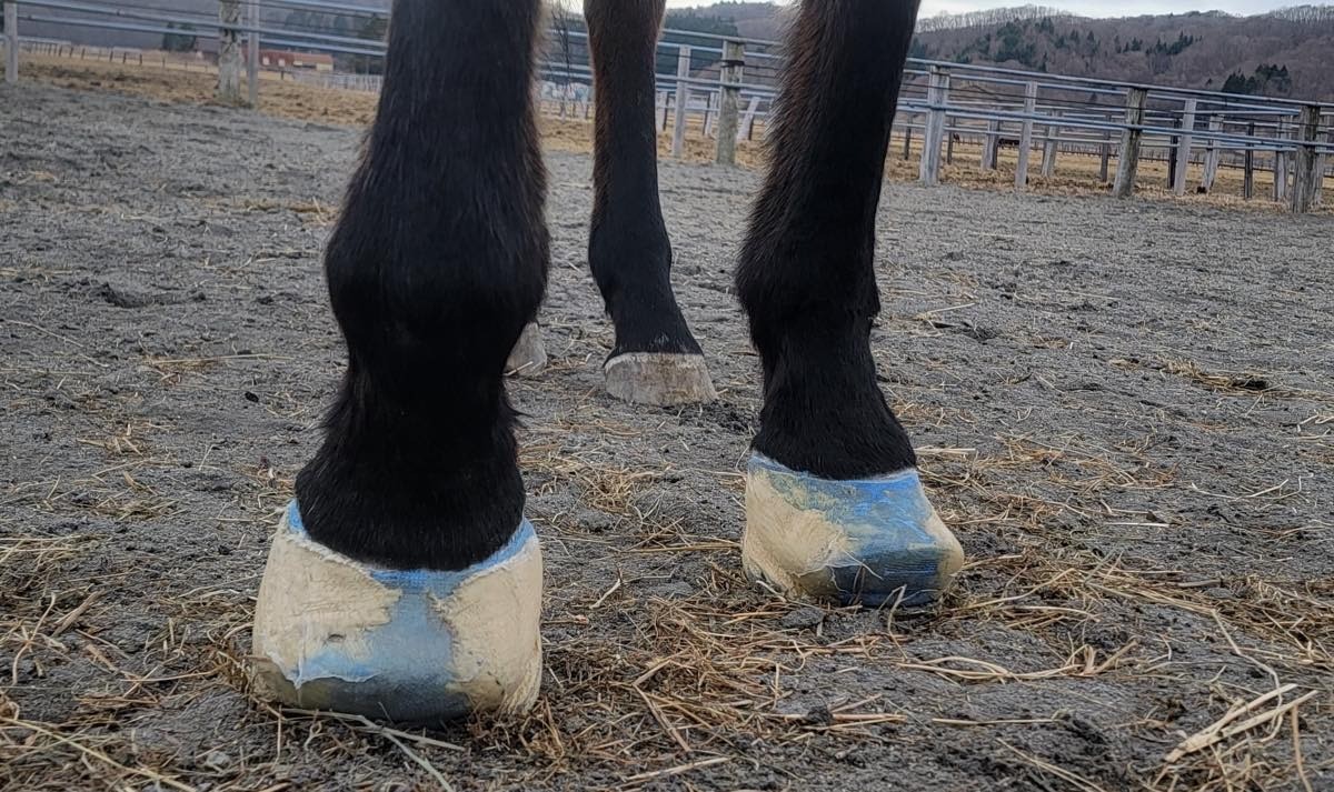 bfe05ec918725c05bd98e43aefa478ec-1773629438.jpg bfe05ec918725c05bd98e43aefa478ec-1773629438.jpg